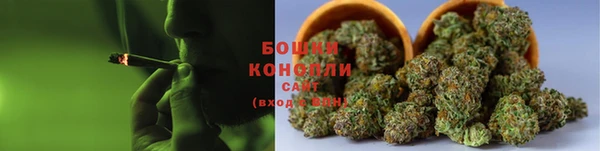 крисы Абдулино