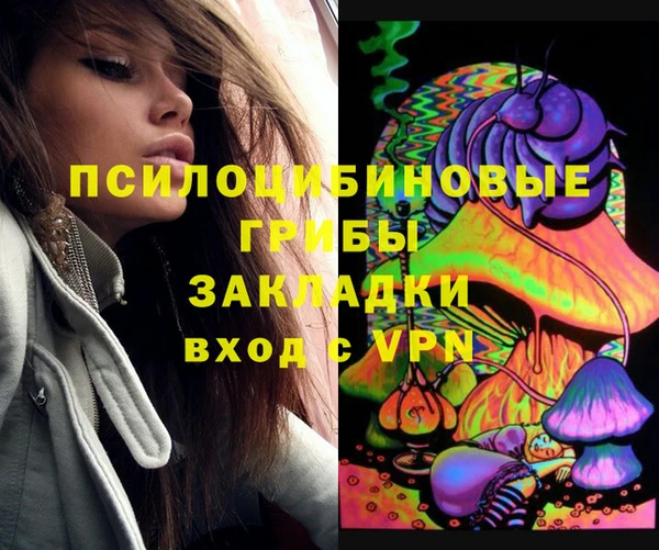 крисы Абдулино