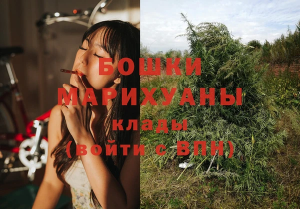 крисы Абдулино