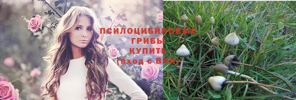 прущие крисы Михайловка