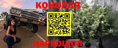 эйфоретик Бузулук